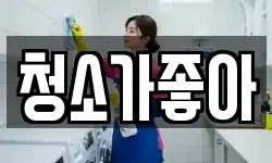 청소가좋아