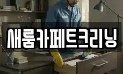 새룸카페트크리닝