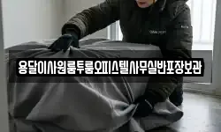 용달이사원룸투룸오피스텔사무실반포장보관