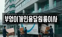 부엉이개인용달원룸이사
