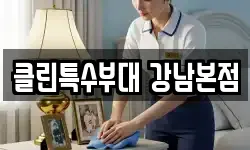 클린특수부대 강남본점