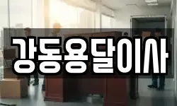 강동용달이사