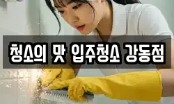 청소의 맛 입주청소 강동점