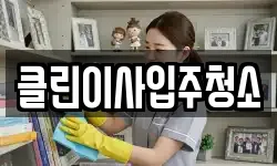 클린이사입주청소