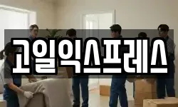 고일익스프레스