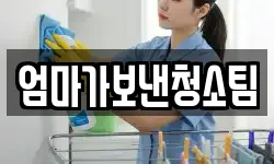 엄마가보낸청소팀