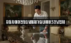자동차에어컨청소냄새제거실내에바크리닝업체