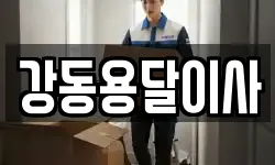 강동용달이사