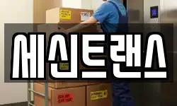 세신트랜스
