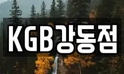 KGB강동점