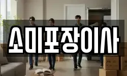 소미포장이사