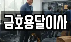 금호용달이사
