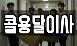 콜용달이사