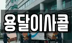 용달이사콜