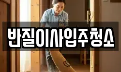 반질이사입주청소