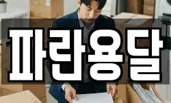 파란용달