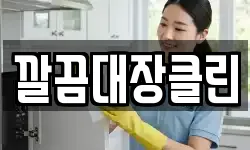 깔끔대장클린