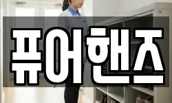 퓨어핸즈