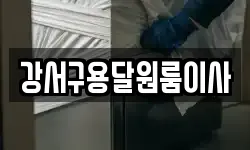 강서구용달원룸이사