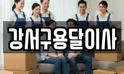 강서구용달이사