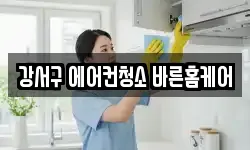 강서구 에어컨청소 바른홈케어