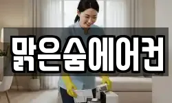 서울특별시 강서구 과해동 청소,입주청소,사무실청소,에어컨청소