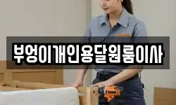 부엉이개인용달원룸이사