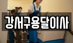 강서구용달이사