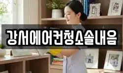 강서에어컨청소솔내음