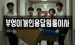 부엉이개인용달원룸이사