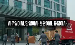 사무실이사,당일이사,보관이사,용달이사