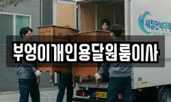 부엉이개인용달원룸이사