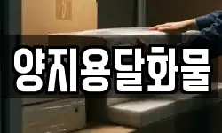 양지용달화물