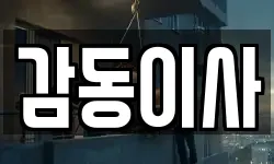 감동이사