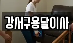강서구용달이사