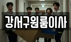 강서구원룸이사