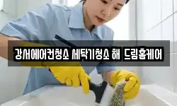 강서에어컨청소 세탁기청소 해 드림홈케어