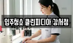 입주청소 클린피디아 강서점