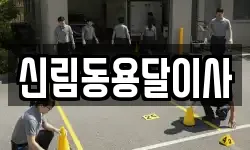 신림동용달이사