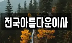 전국아름다운이사