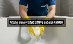 특수청소화재청소바닥청소공장청소사무실청소준공청소예초대행집