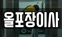 올포장이사