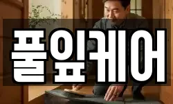 풀잎케어