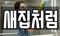 새집처럼