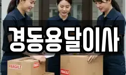 경동용달이사