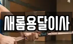새롬용달이사