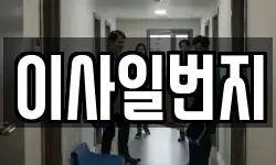 이사일번지