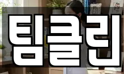 팀클린