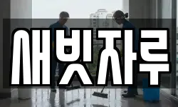 새빗자루