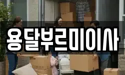 용달부르미이사